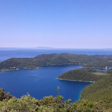 Daire Sunny Side Of Mljet